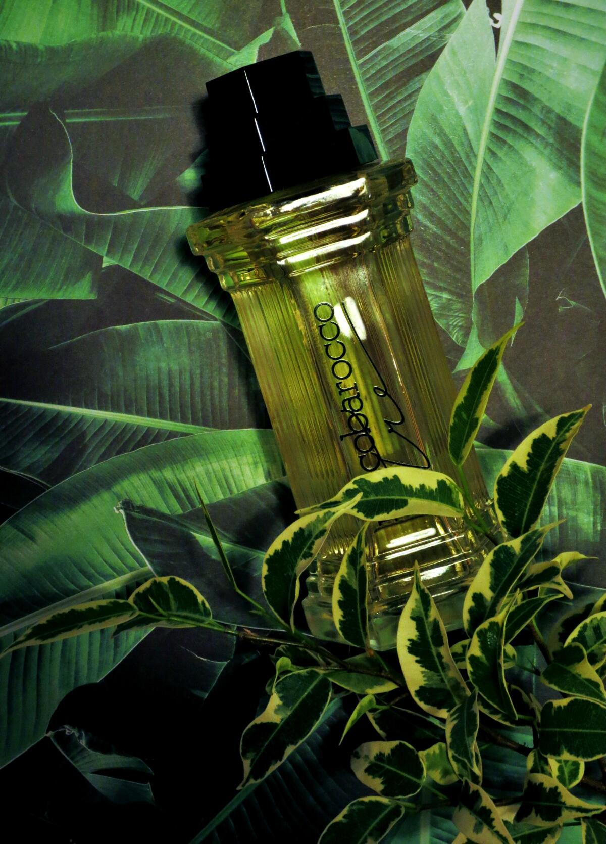 عطر ادکلن تری روکوباروکو - Tre Roccobarocco - بررسی، قیمت و خرید