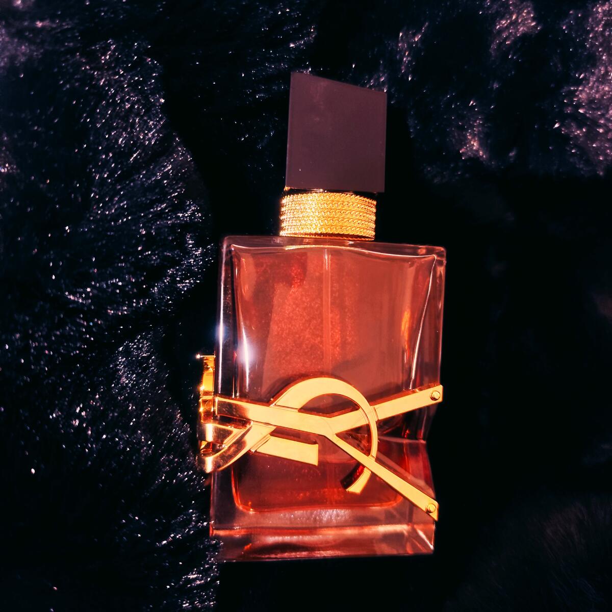 عطر ادکلن لیبر له پارفوم ایو سن لوران - Libre Le Parfum Yves Saint Laurent - بررسی، قیمت و خرید