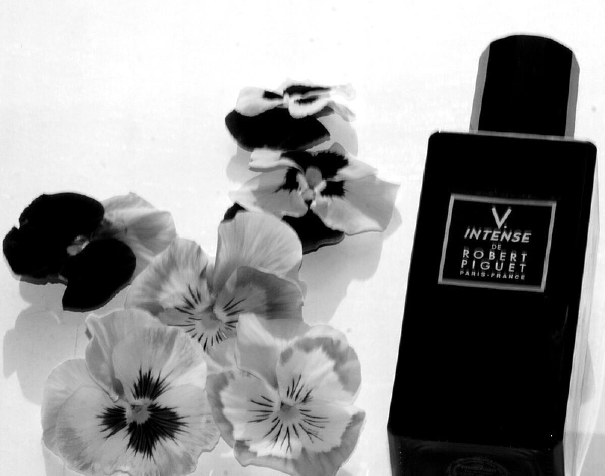 عطر ادکلن وی اینتنس رابرت پیگه - V. Intense Robert Piguet - بررسی، قیمت و خرید