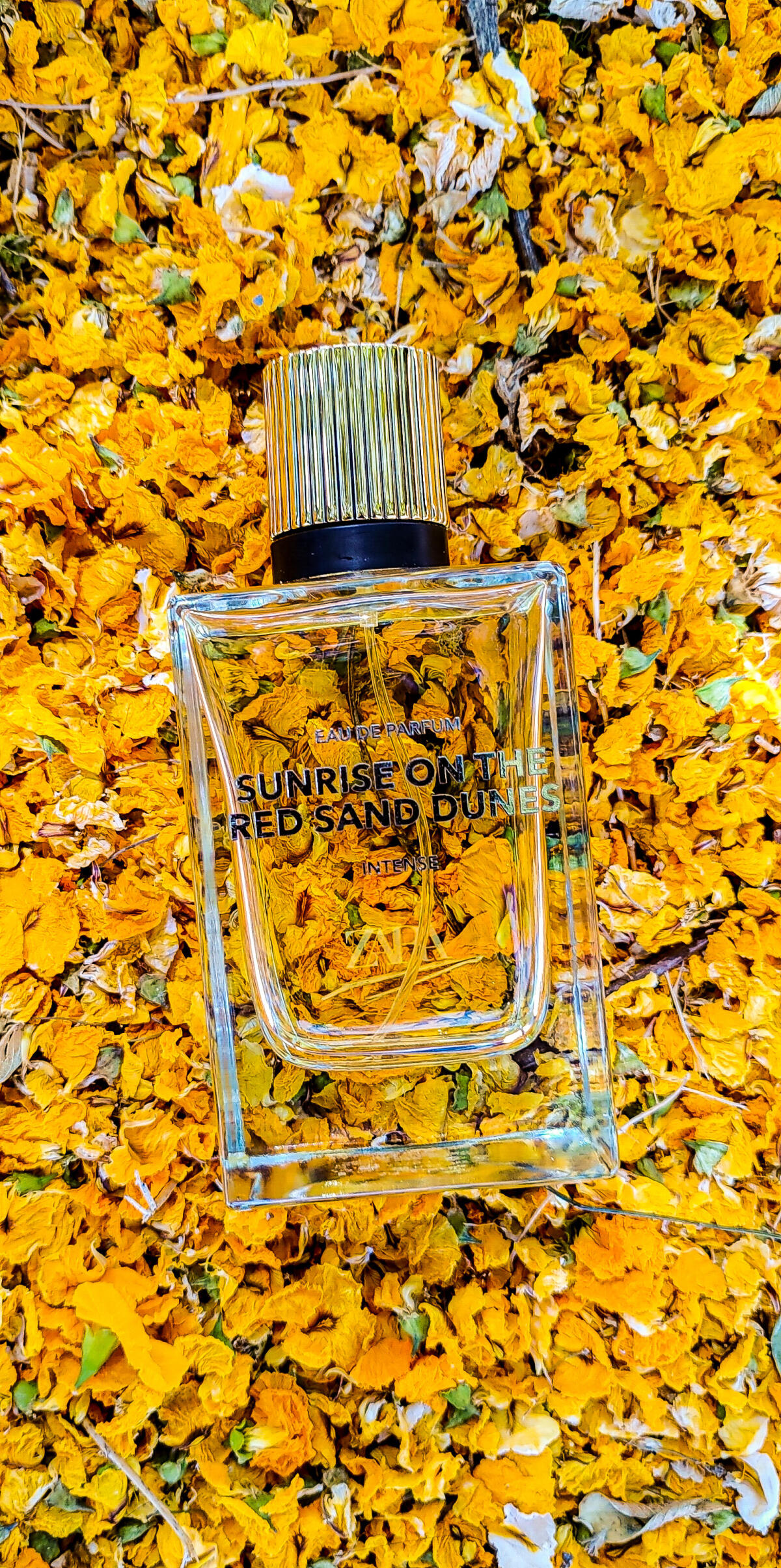 عطر ادکلن سانرایز آن د رد سند دونز اینتنس زَرا - Sunrise on the Red Sand Dunes Intense Zara - بررسی، قیمت و خرید