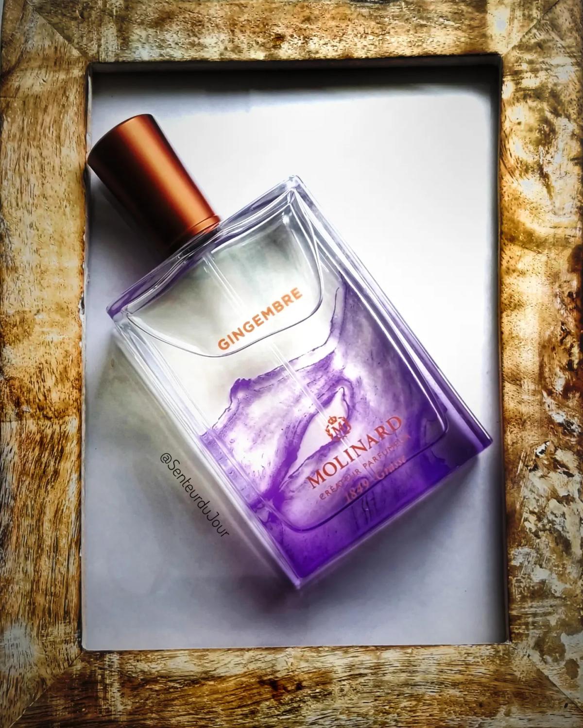 عطر ادکلن ژینژامبر مولینارد - Gingembre Molinard - بررسی، قیمت و خرید