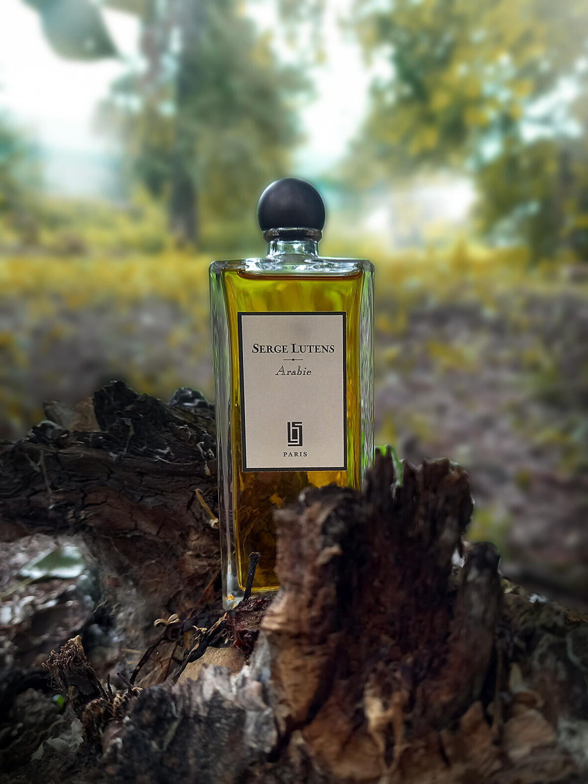 عطر ادکلن عربی سرج لوتنس - Arabie Serge Lutens - بررسی، قیمت و خرید