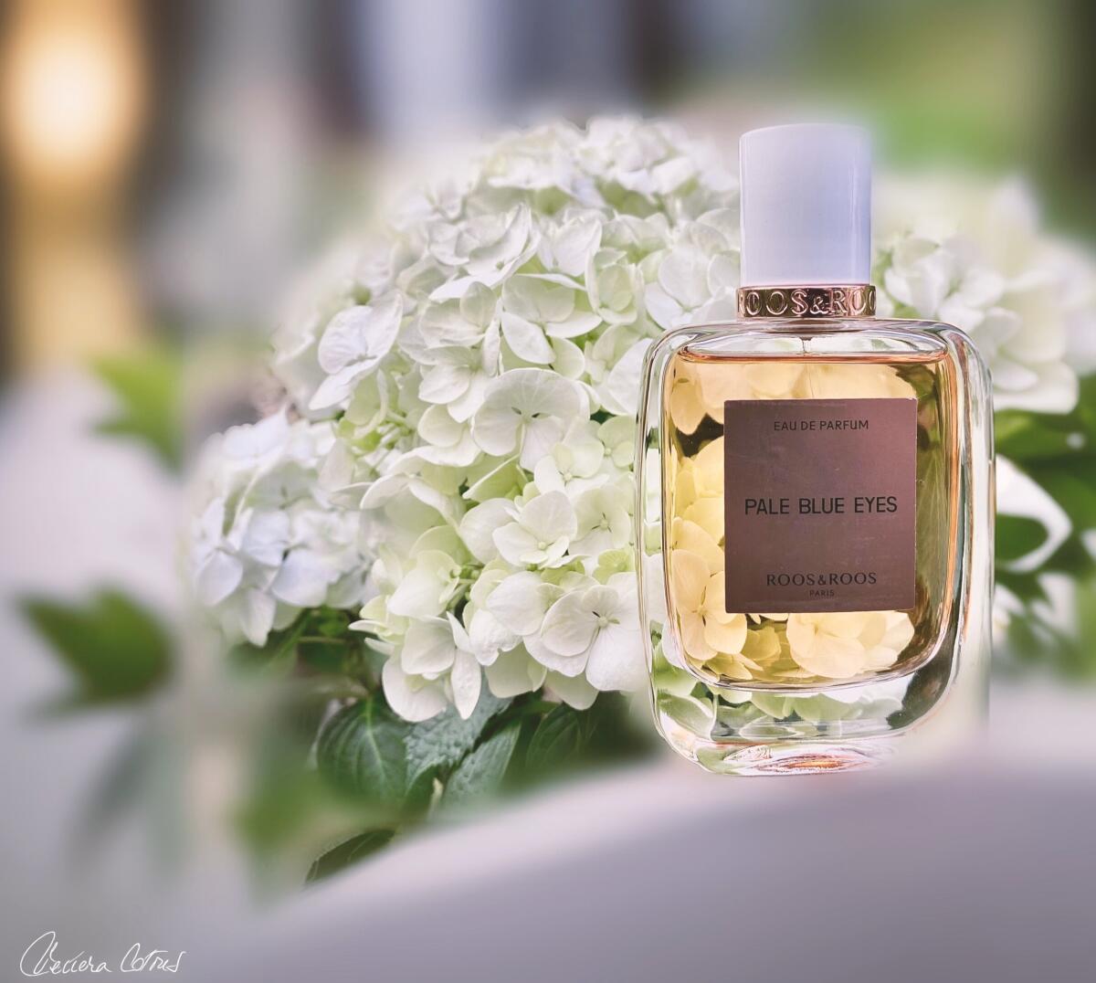 عطر ادکلن پیل بلو آیز روس اند روس - Pale Blue Eyes Roos & Roos - بررسی، قیمت و خرید