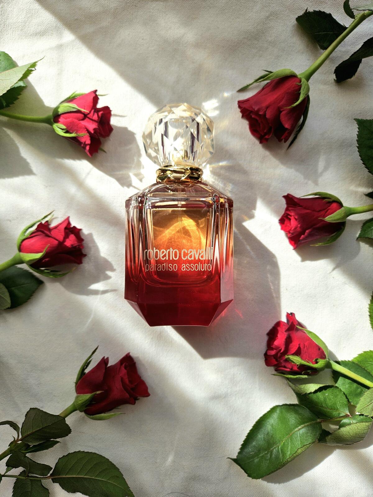 عطر ادکلن پردیزو اسولوتو روبرتو کاوالی - Paradiso Assoluto Roberto Cavalli - بررسی، قیمت و خرید