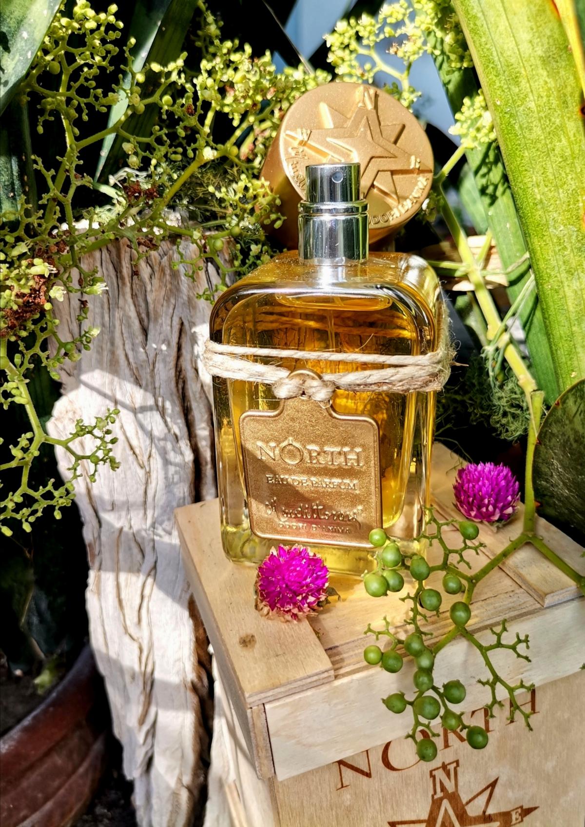 عطر ادکلن نورث مندیتوروسا - North Mendittorosa - بررسی، قیمت و خرید