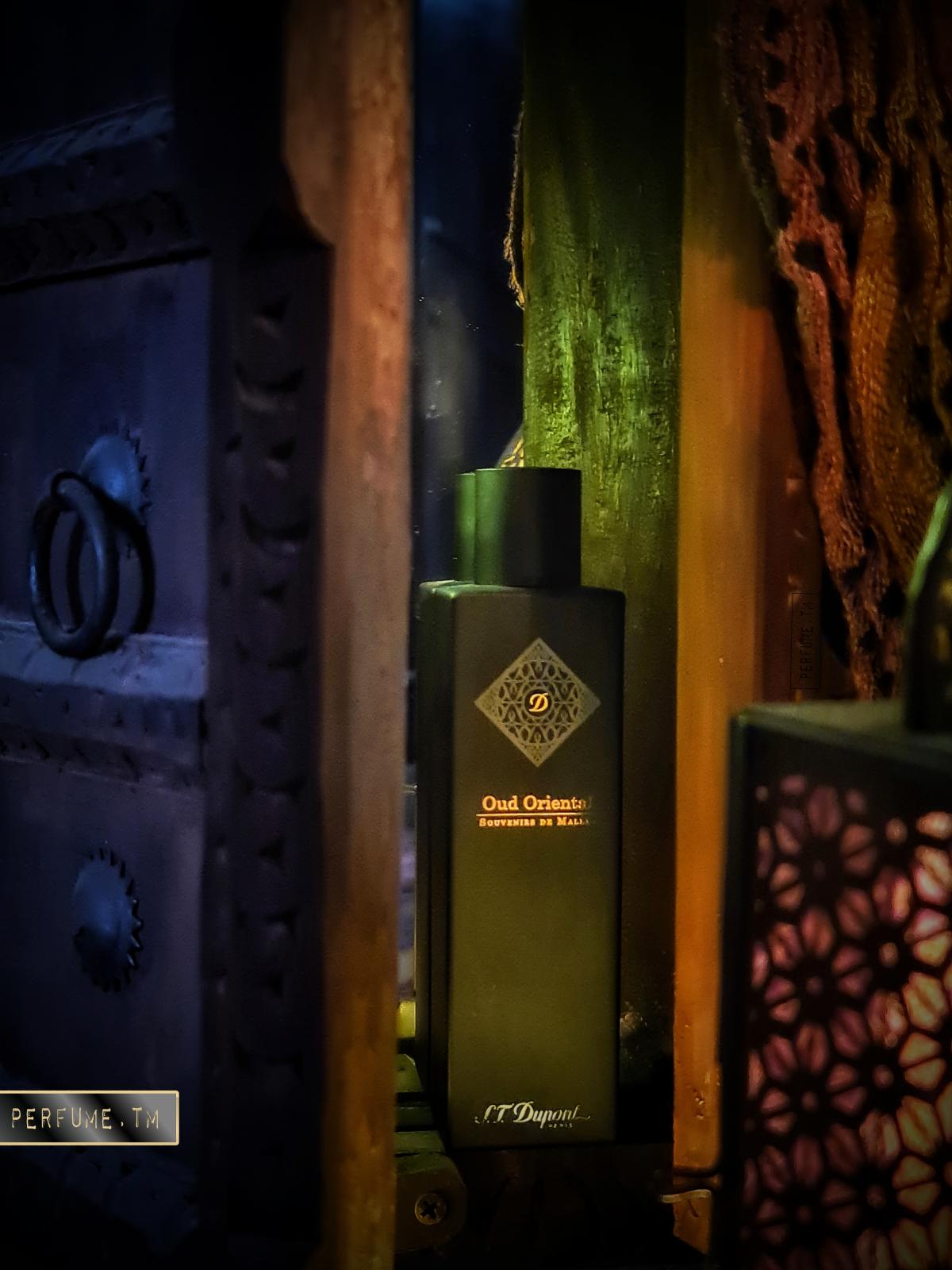 عطر ادکلن دوپونت عود اورینتال دوپونت - Dupont Oud Oriental S.T. Dupont - بررسی، قیمت و خرید