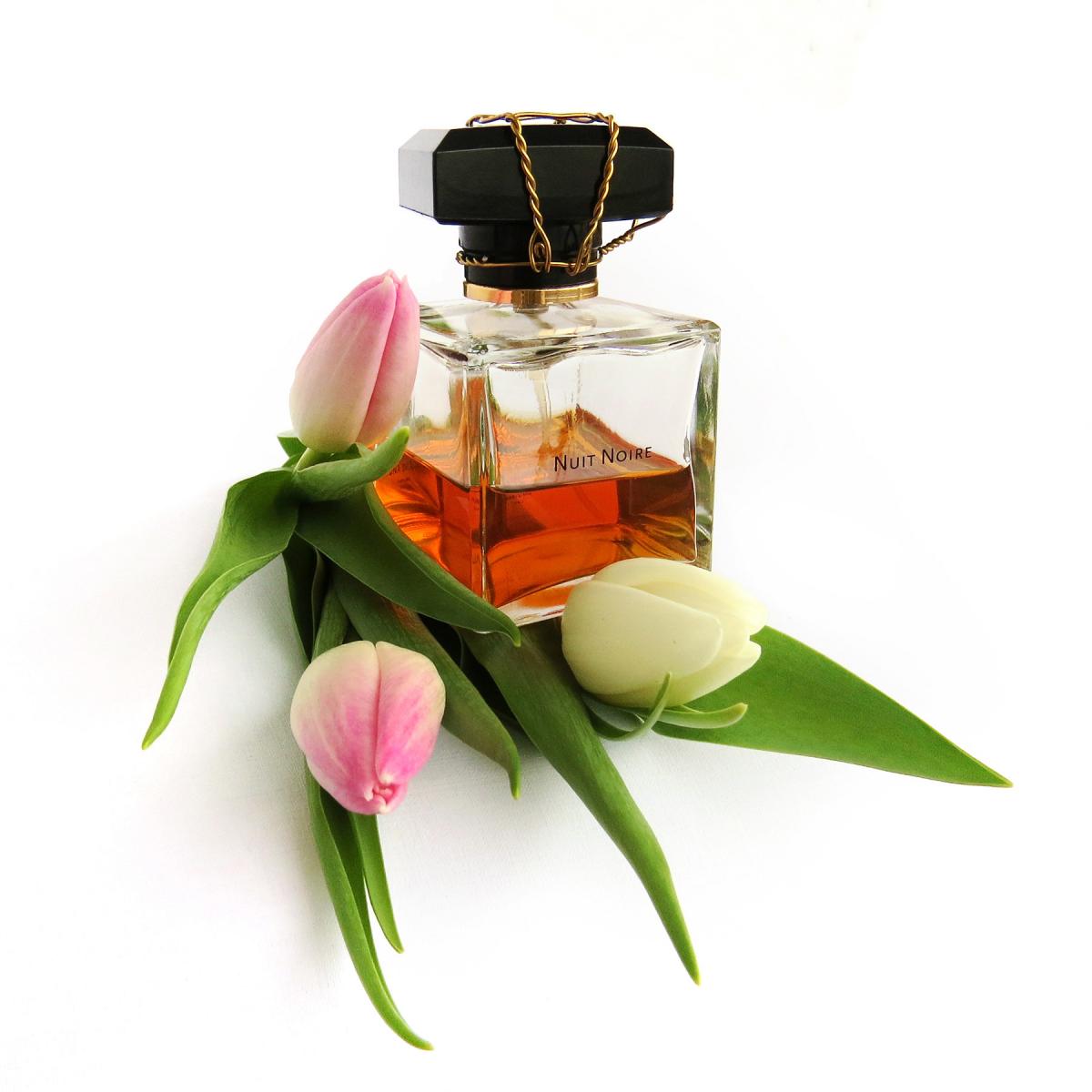 عطر ادکلن نوآ نوار مونا دی اوریو - Nuit Noire Mona di Orio - بررسی، قیمت و خرید