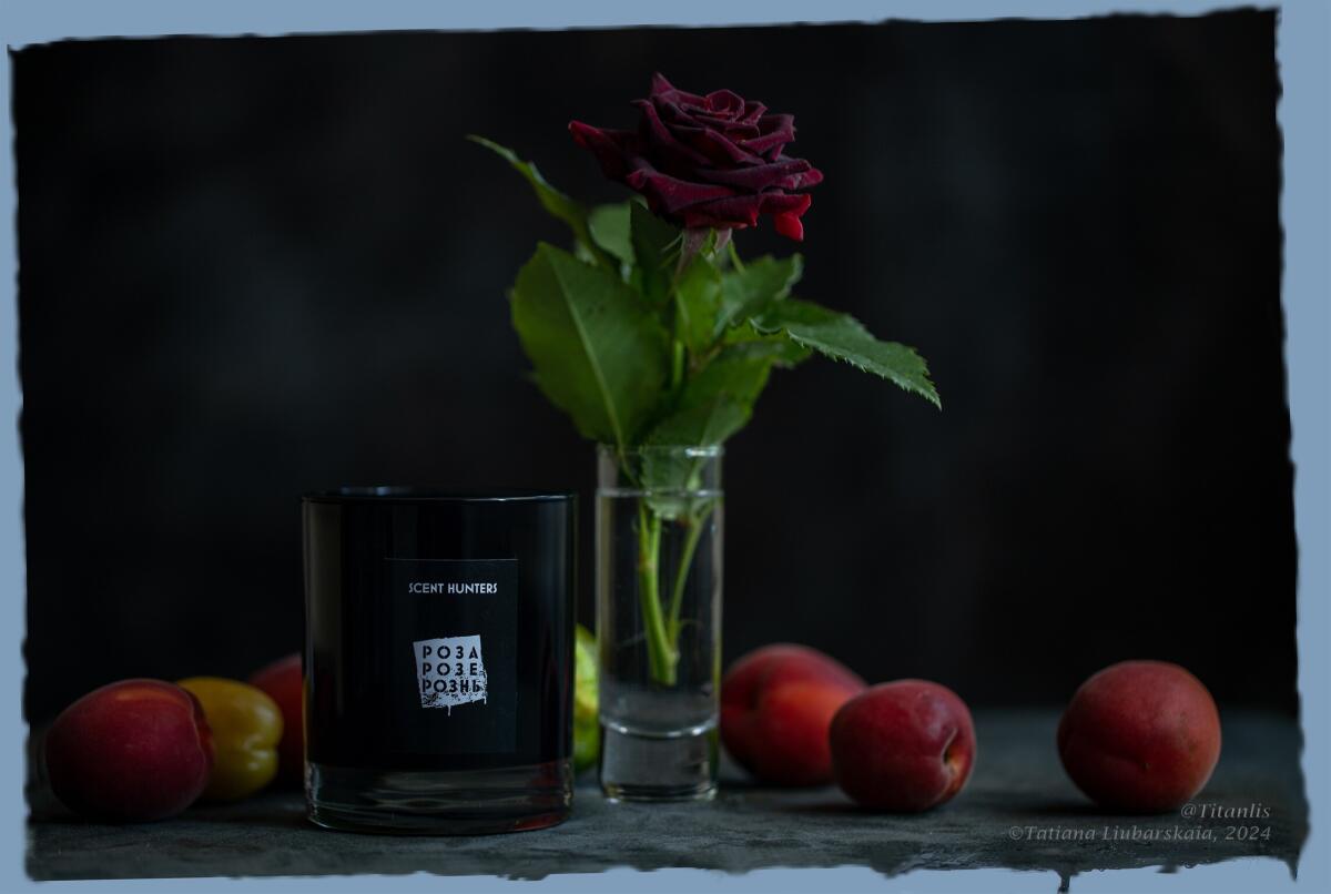 عطر ادکلن هلو دارکنس سنت هانترز - Hello Darkness Scent Hunters - بررسی، قیمت و خرید