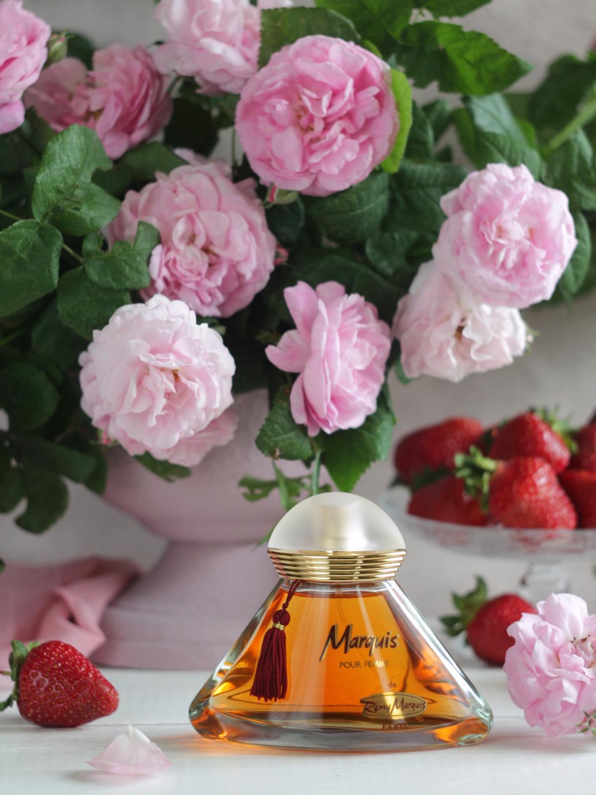 عطر ادکلن مارکی رمی مارکوی - Marquis Remy Marquis - بررسی، قیمت و خرید