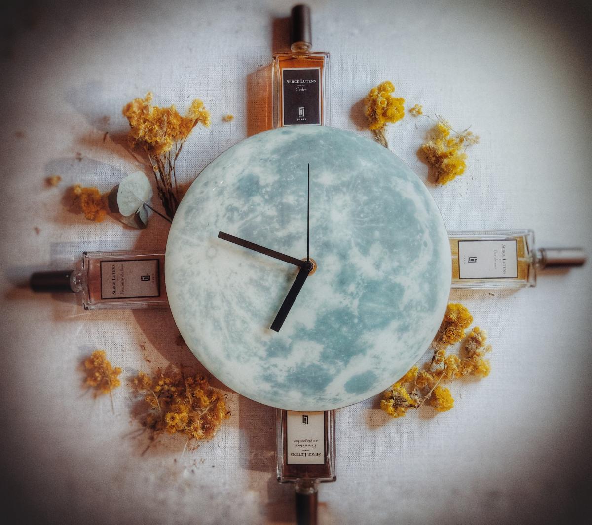 عطر ادکلن سدر سرج لوتنس - Cedre Serge Lutens - بررسی، قیمت و خرید