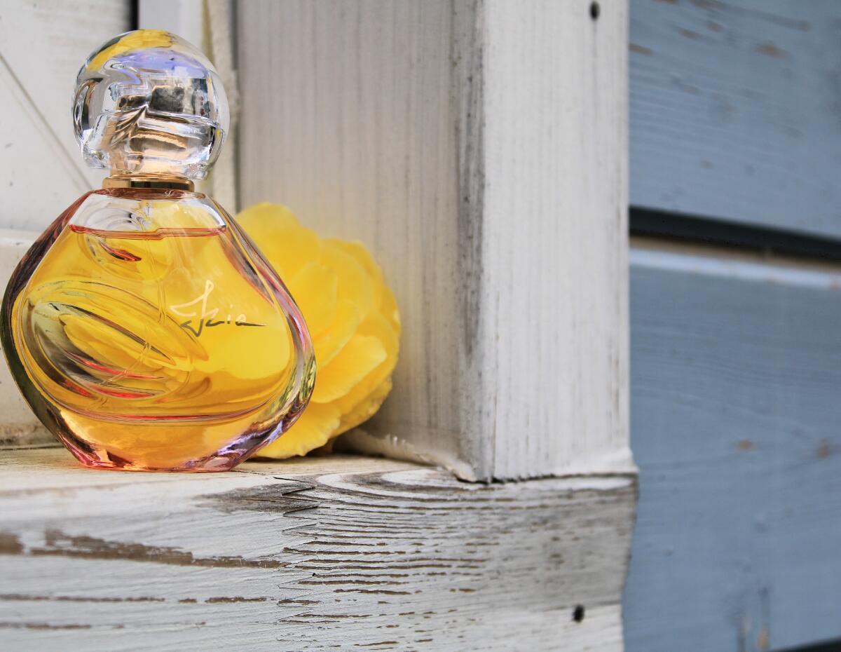 عطر ادکلن ایزیا سیسلی - Izia Sisley - بررسی، قیمت و خرید