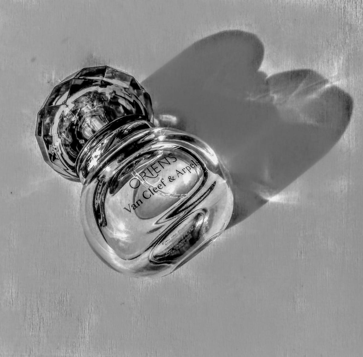 عطر ادکلن اوریِنز ون کلیف اند آرپلز - Oriens Van Cleef & Arpels - بررسی، قیمت و خرید