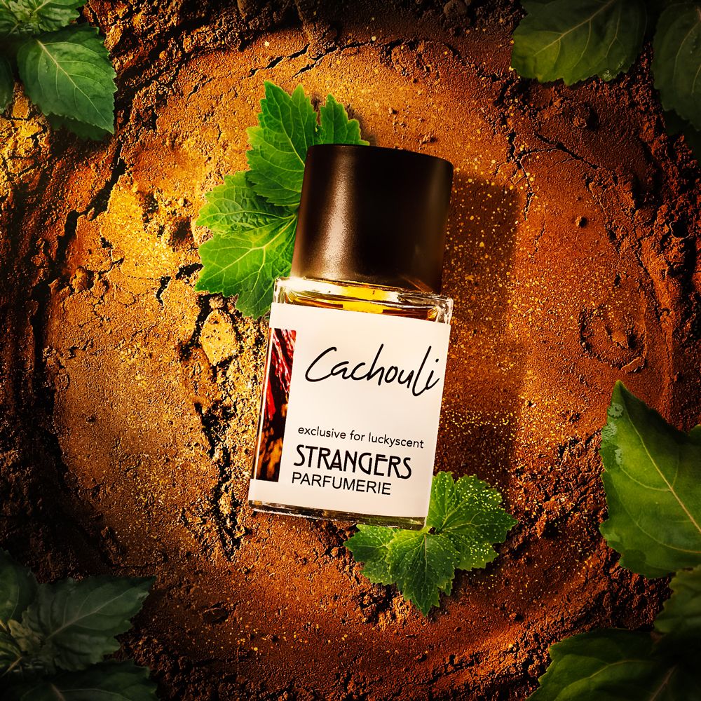 عطر ادکلن کچولی استرنجرز پرفیومری - Cachouli Strangers Parfumerie - بررسی، قیمت و خرید