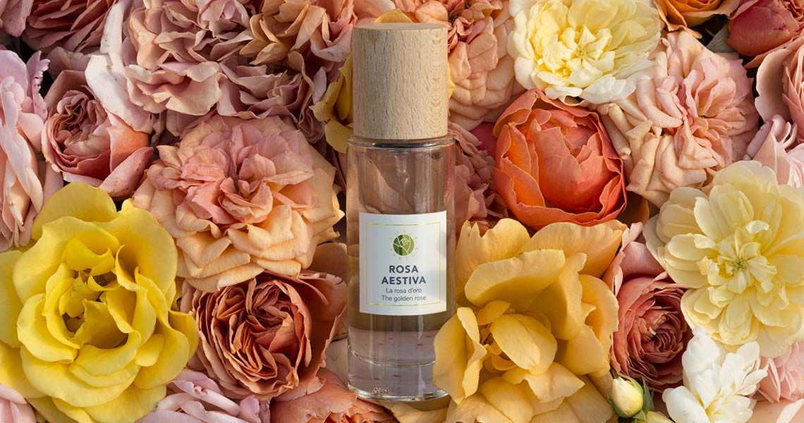 عطر ادکلن رزا استیوا رزای ویرتوس - Rosa Aestiva Rosae Virtus - بررسی، قیمت و خرید