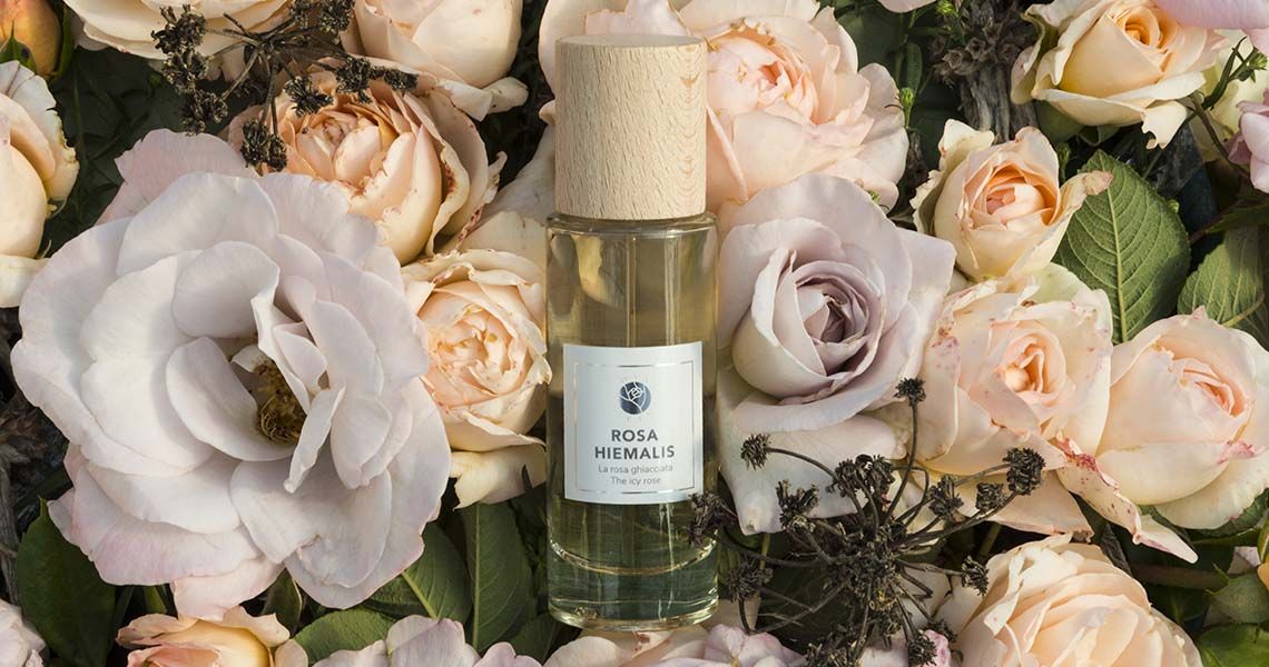 عطر ادکلن رزای هایمالیس روزای ویرتوس - Rosa Hiemalis Rosae Virtus - بررسی، قیمت و خرید
