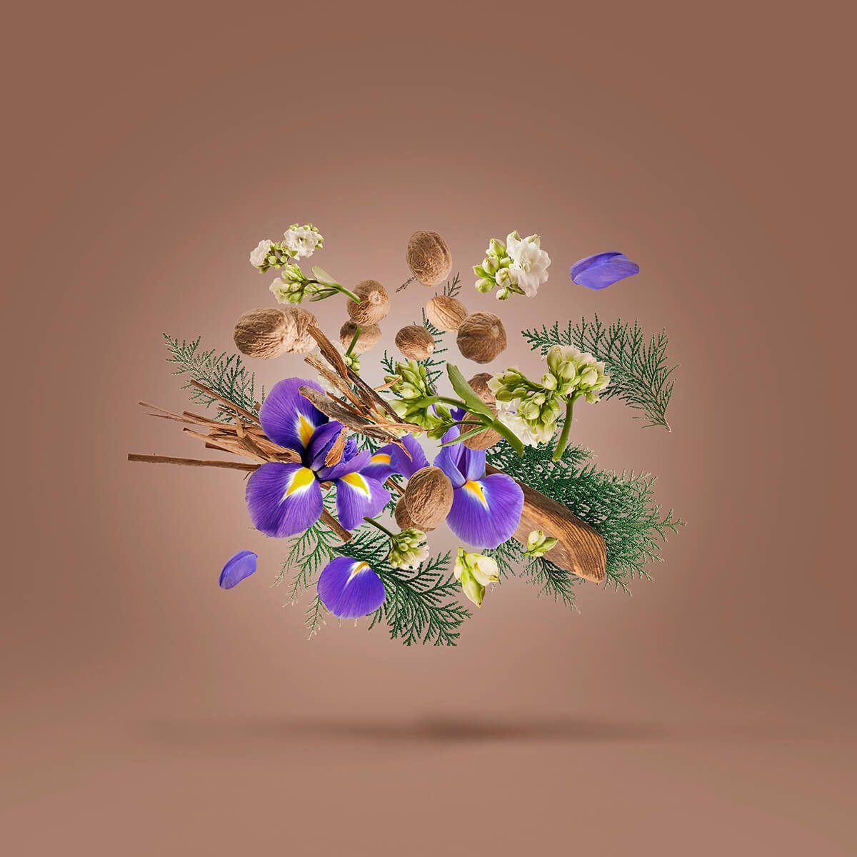 عطر ادکلن آریدال زرژاف - Aridal Xerjoff - بررسی، قیمت و خرید