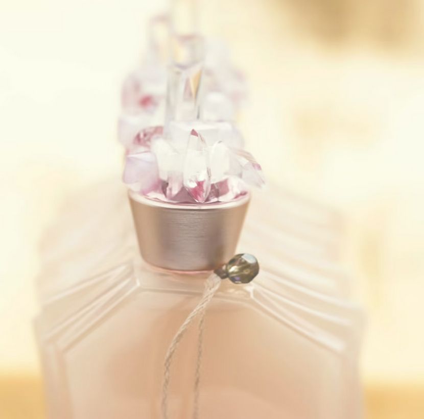 عطر ادکلن میس می دیسکریت؟ استلا کادنتی - Miss Me Discrete? Stella Cadente - بررسی، قیمت و خرید