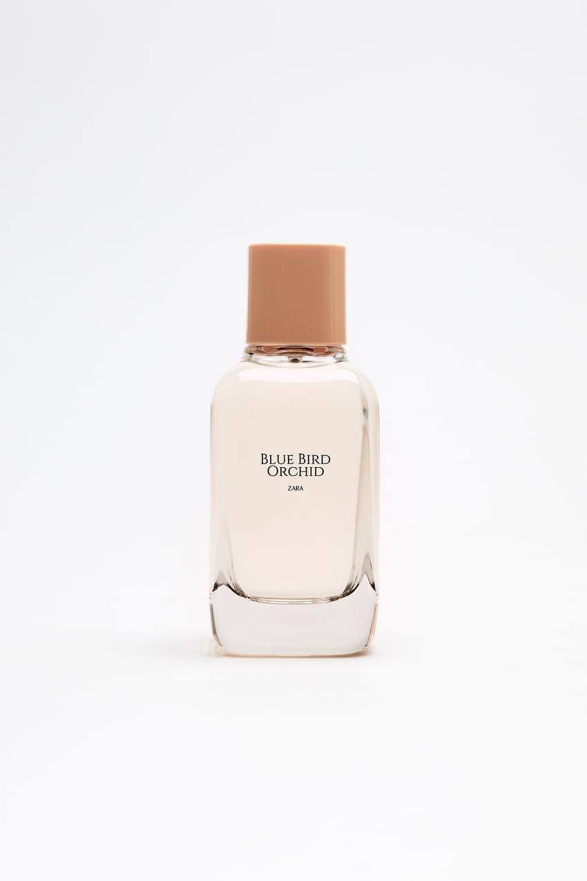عطر ادکلن بلوبرد ارکید زارا - Blue Bird Orchid Zara - بررسی، قیمت و خرید