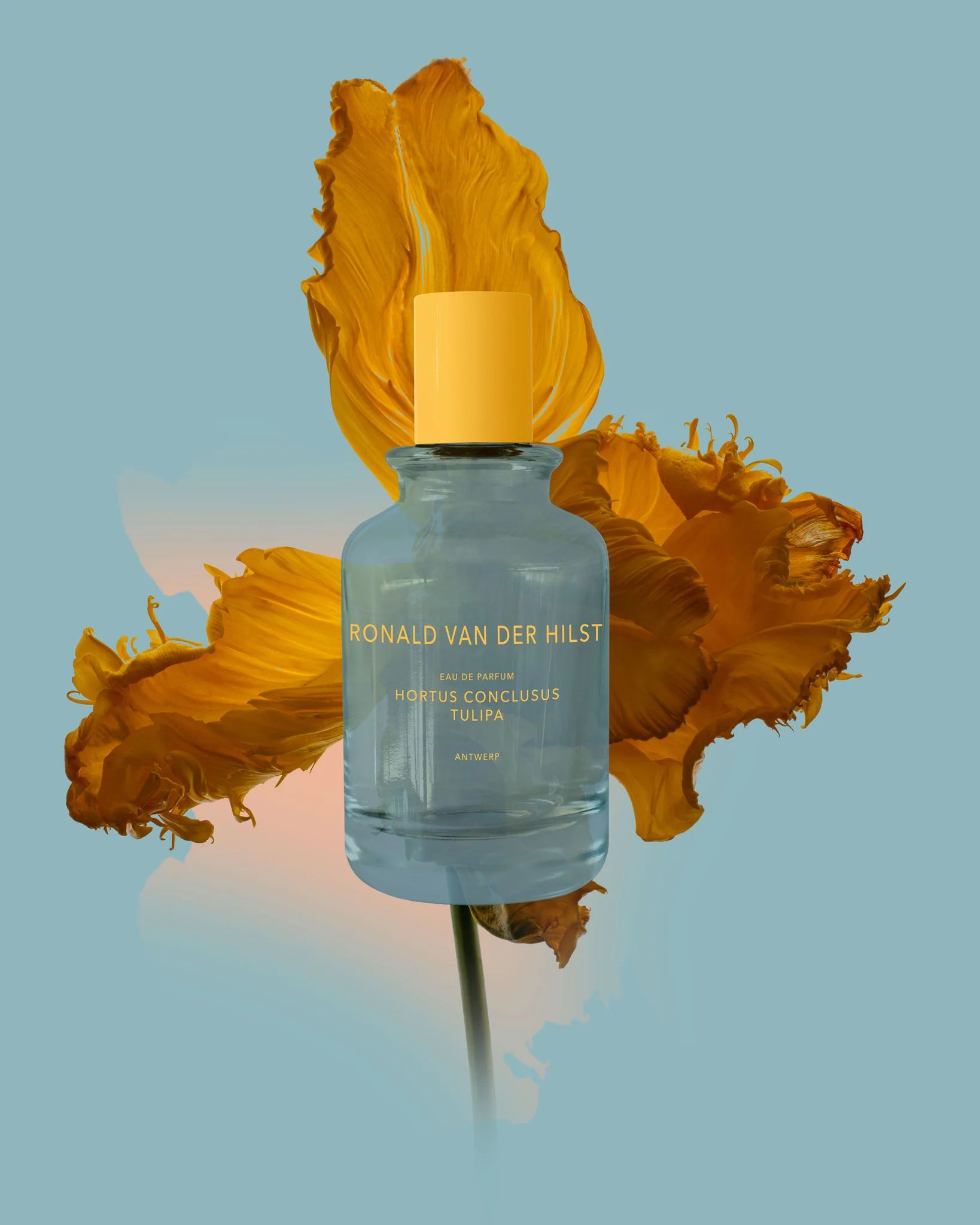 عطر ادکلن هورتوس کنکلوسوس تولیپا رونالد فان در هیلس - Hortus Conclusus Tulipa Ronald van der Hilst - بررسی، قیمت و خرید