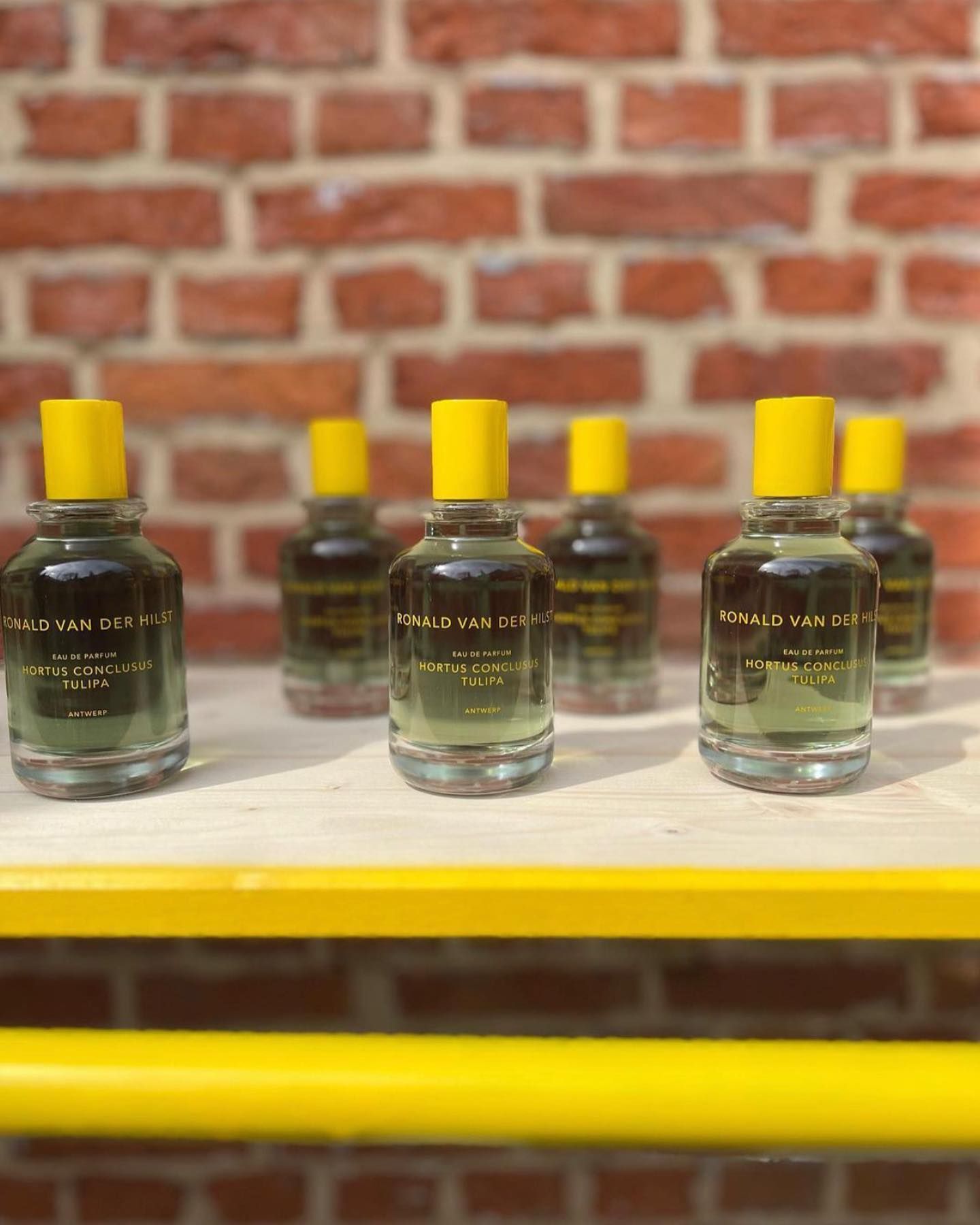 عطر ادکلن هورتوس کنکلوسوس تولیپا رونالد فان در هیلس - Hortus Conclusus Tulipa Ronald van der Hilst - بررسی، قیمت و خرید