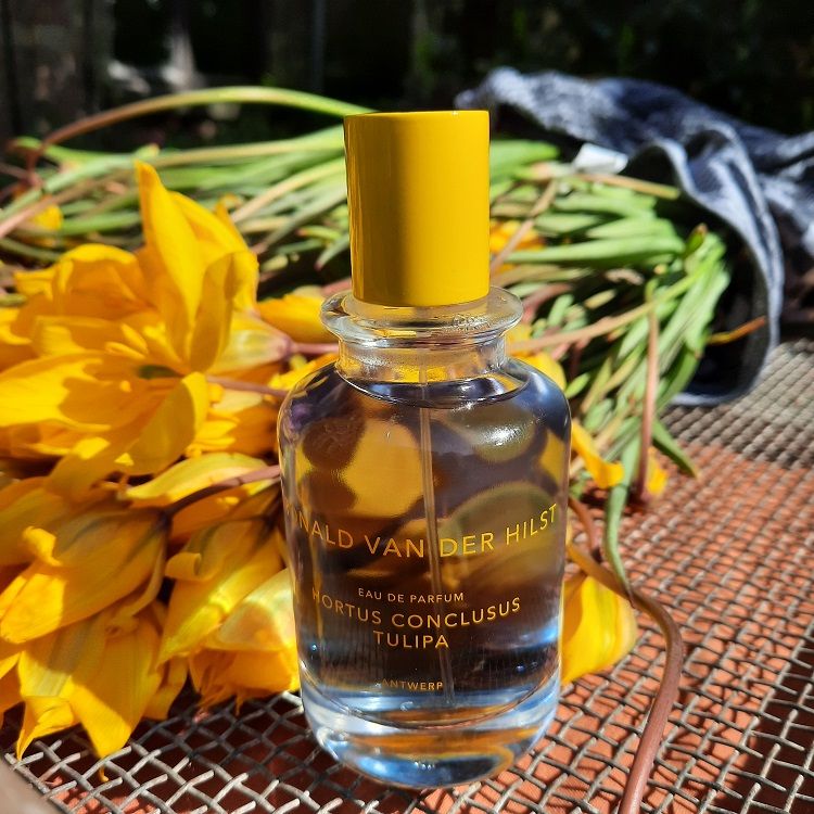 عطر ادکلن هورتوس کنکلوسوس تولیپا رونالد فان در هیلس - Hortus Conclusus Tulipa Ronald van der Hilst - بررسی، قیمت و خرید