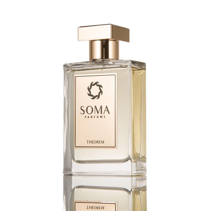 عطر ادکلن تیورم سوما پارفومز - Theorem Soma Parfums - بررسی، قیمت و خرید