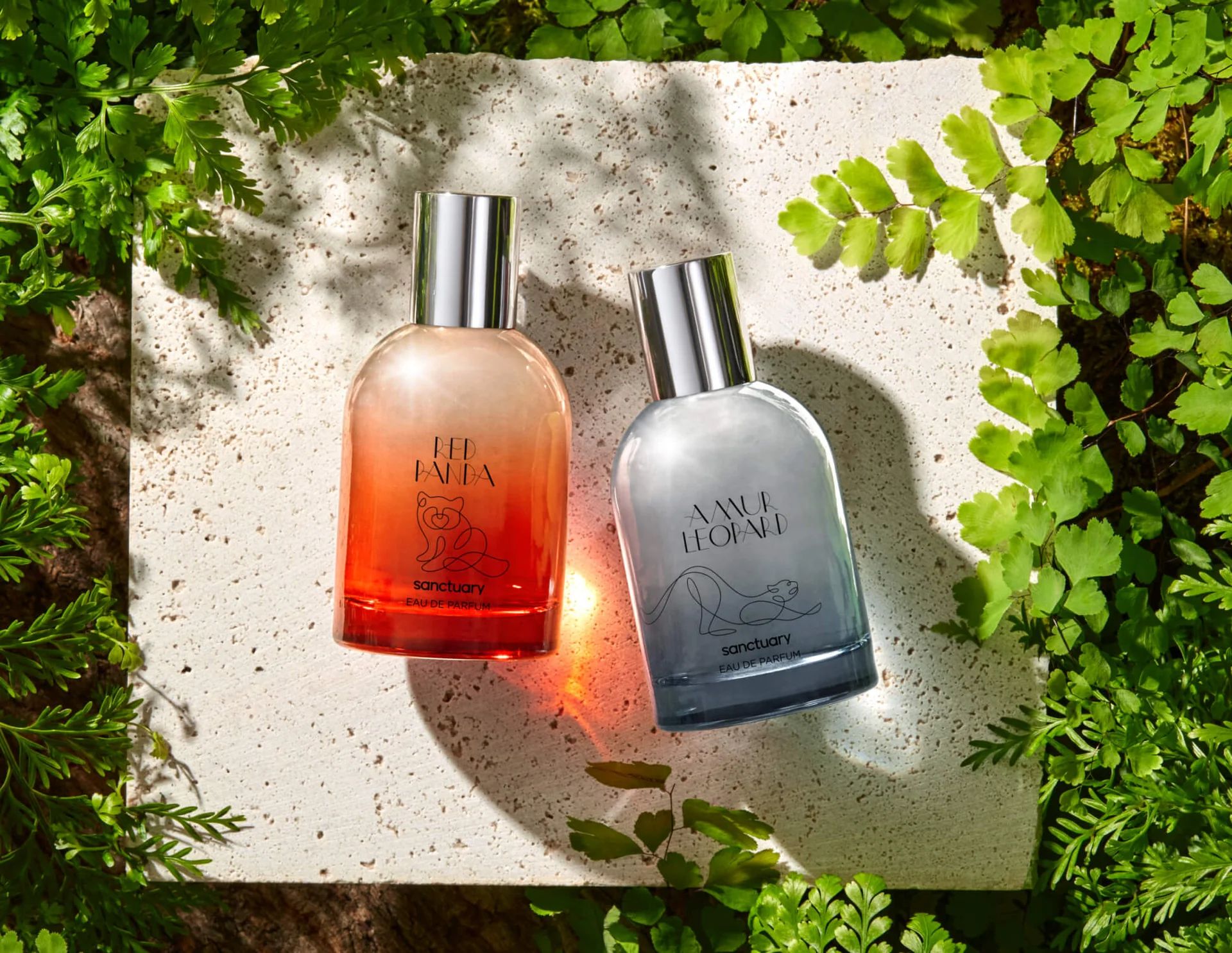 عطر ادکلن آمور لئوپارد سنکچری - Amur Leopard Sanctuary - بررسی، قیمت و خرید