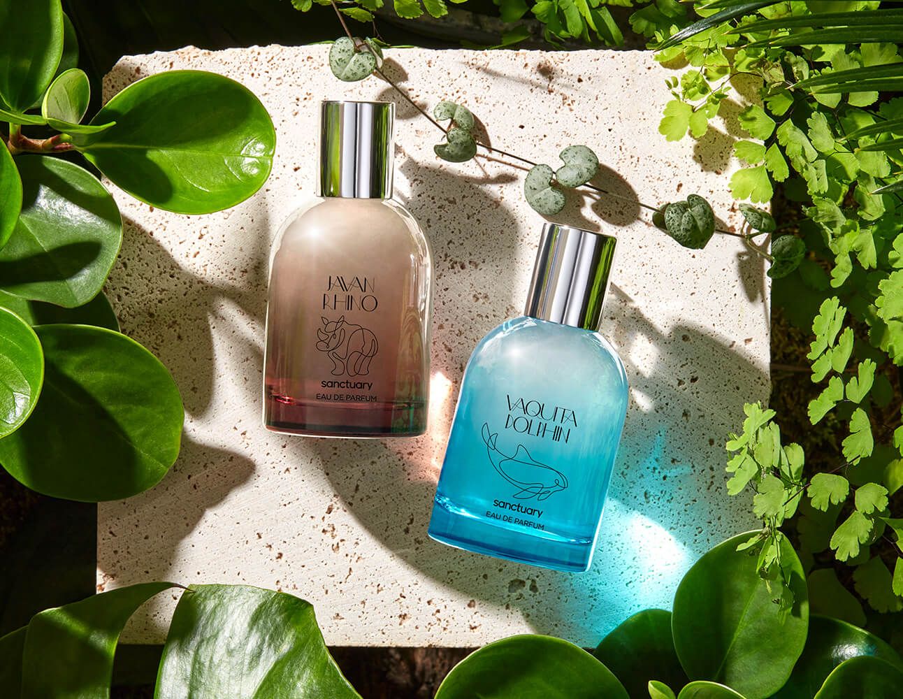 عطر ادکلن جاوان راینوه سَنکچوئری - Javan Rhino Sanctuary - بررسی، قیمت و خرید