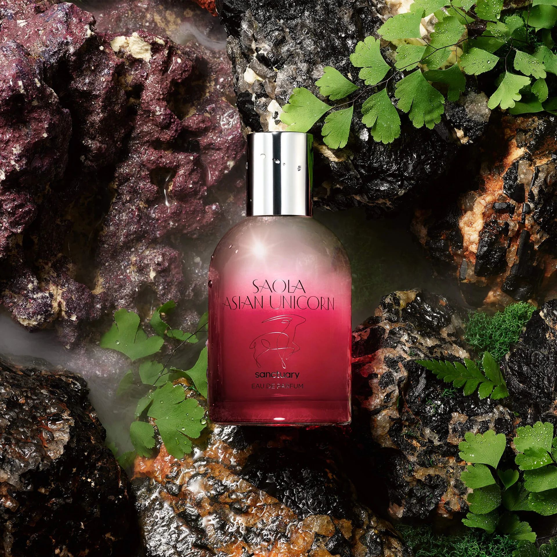 عطر ادکلن ساولا سنکچری - Saola Asian Unicorn Sanctuary - بررسی، قیمت و خرید