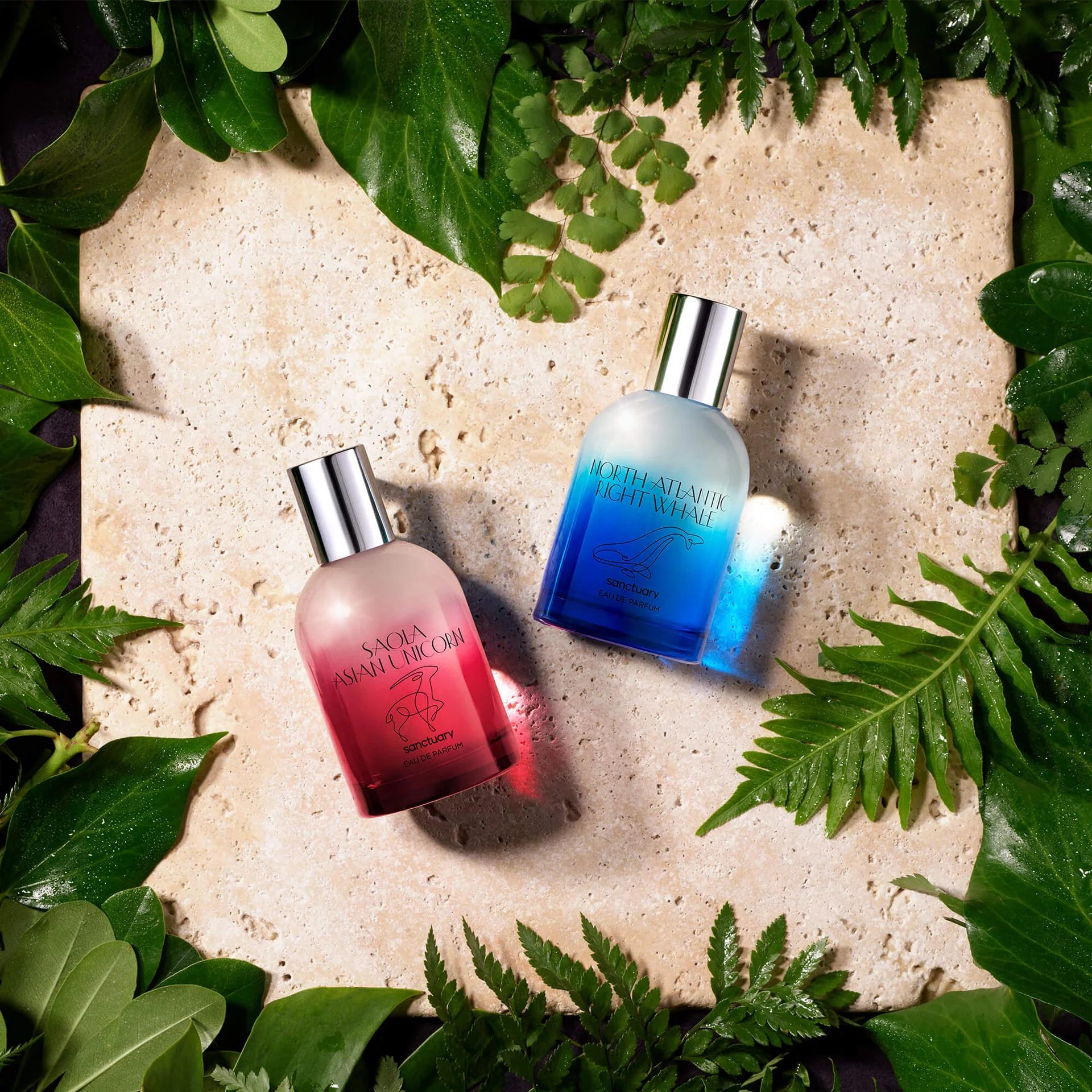 عطر ادکلن ساولا سنکچری - Saola Asian Unicorn Sanctuary - بررسی، قیمت و خرید