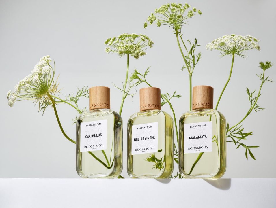 عطر ادکلن آنجلیکا فلور رُس و رُس - Angelica Florae Roos & Roos - بررسی، قیمت و خرید