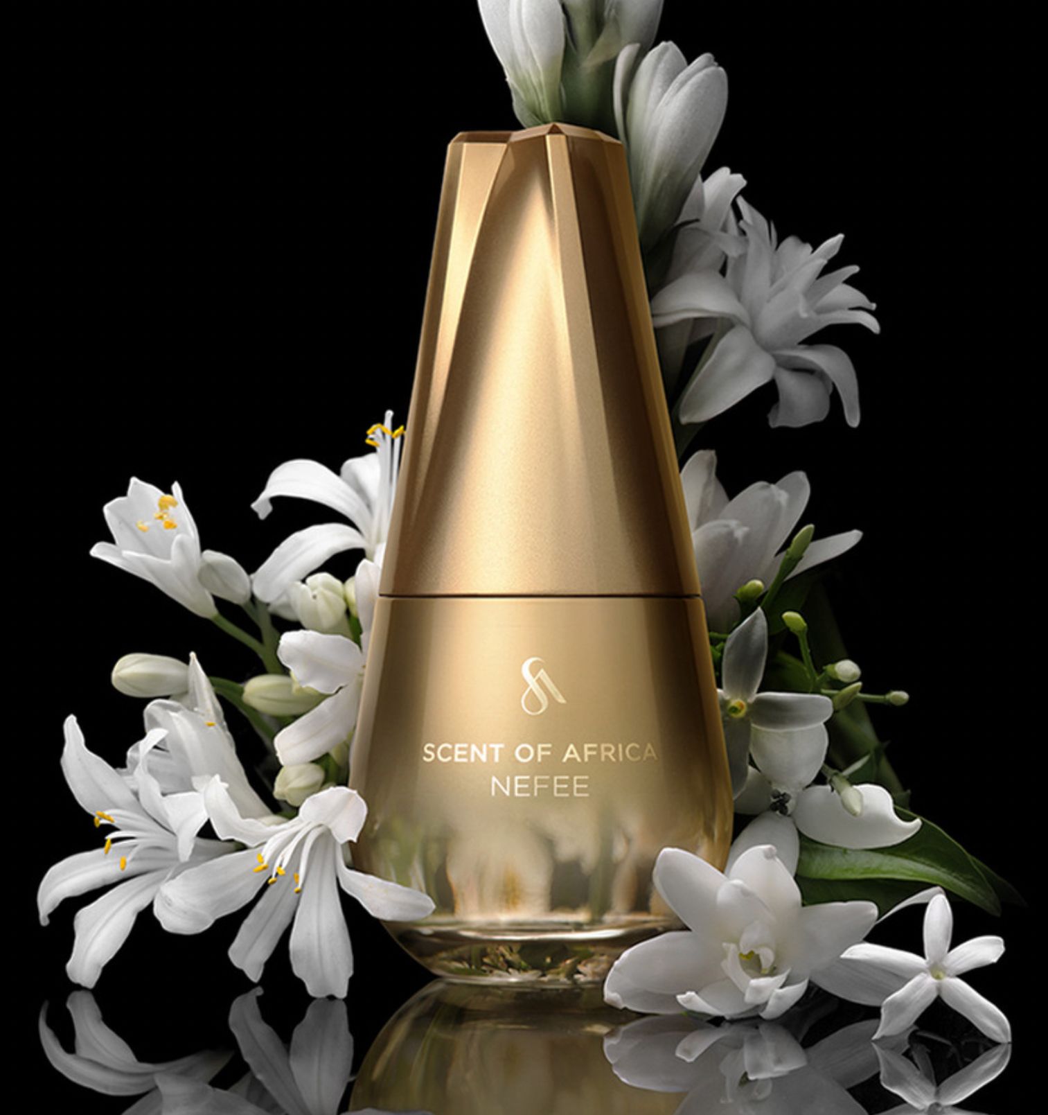 عطر ادکلن نفی سنت آف آفریکا - Nefee Scent Of Africa - بررسی، قیمت و خرید