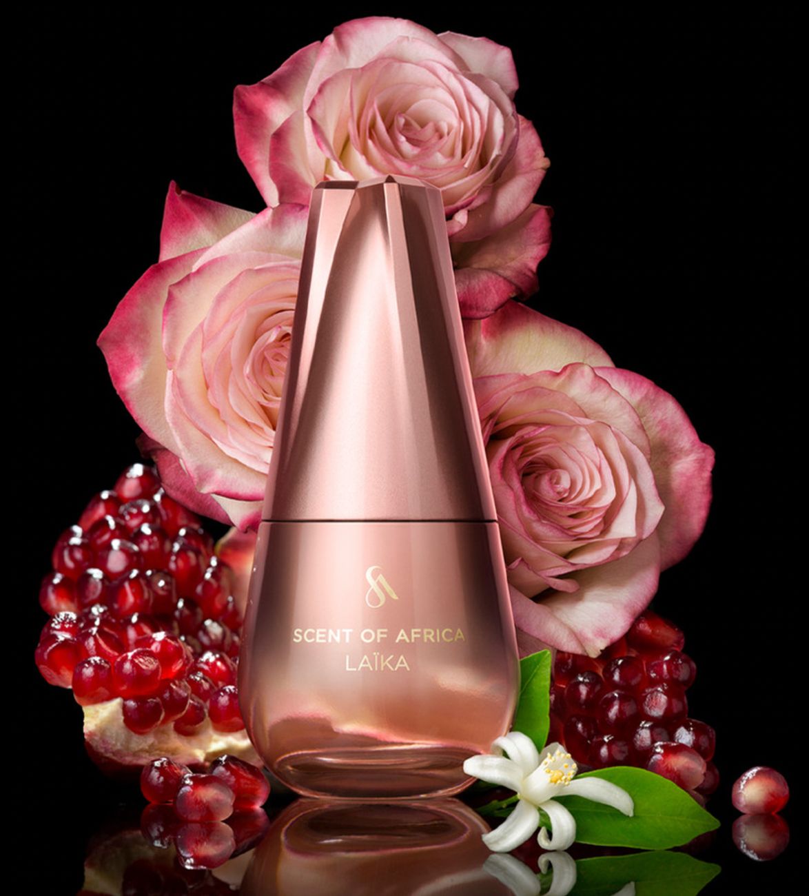 عطر ادکلن لایکا سنت آف آفریقا - Laïka Scent Of Africa - بررسی، قیمت و خرید