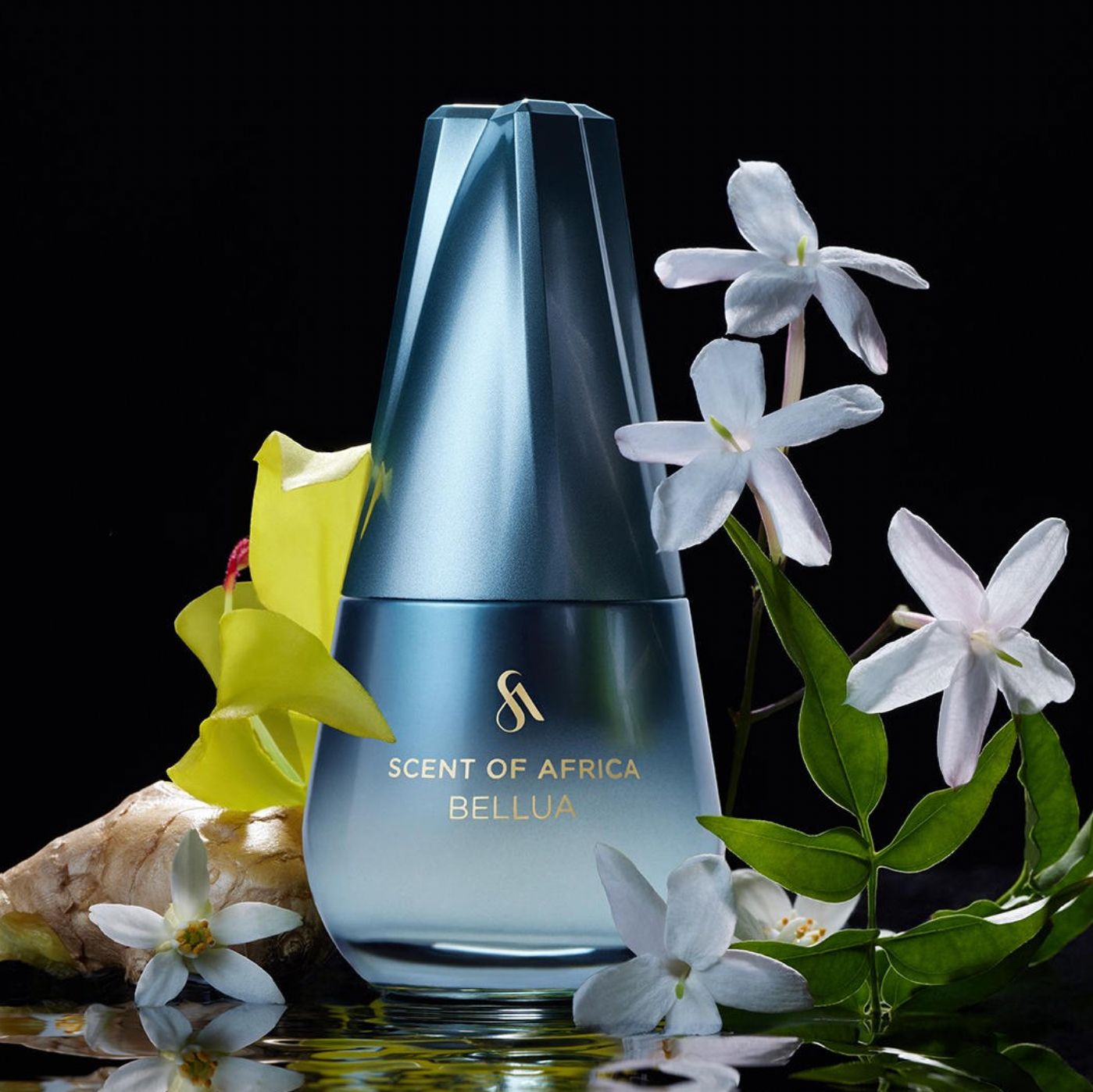 عطر ادکلن بِلوآ سنت آو آفریکا - Bellua Scent Of Africa - بررسی، قیمت و خرید