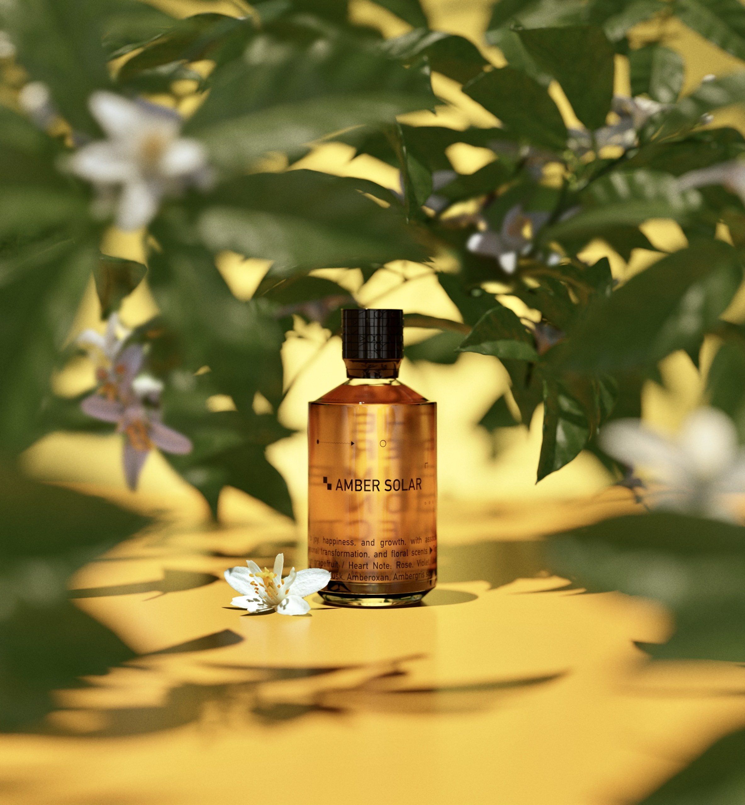 عطر ادکلن امبر سولار د پرفیوم کانکشن - Amber Solar The Perfume Connection - بررسی، قیمت و خرید