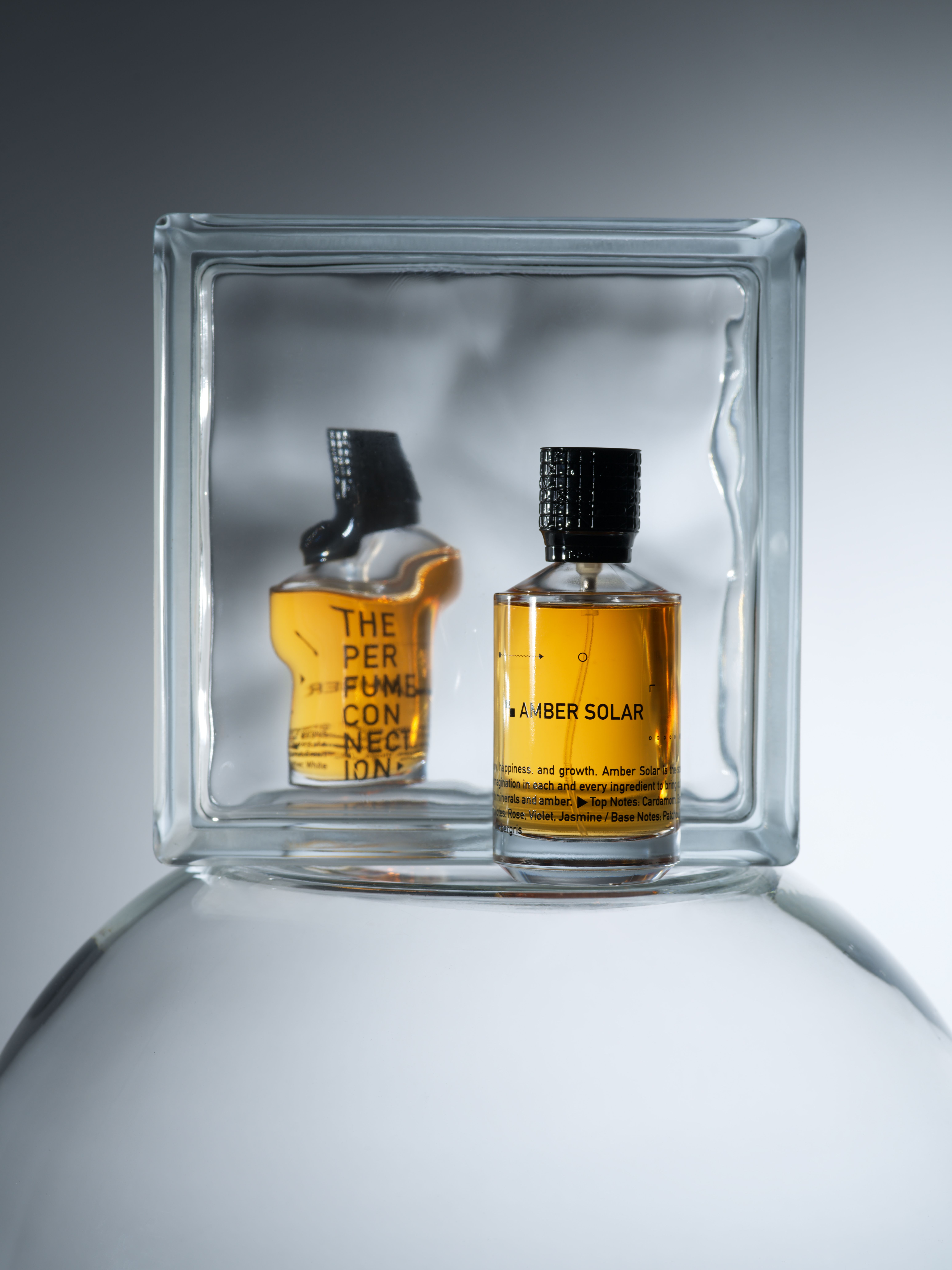 عطر ادکلن امبر سولار د پرفیوم کانکشن - Amber Solar The Perfume Connection - بررسی، قیمت و خرید