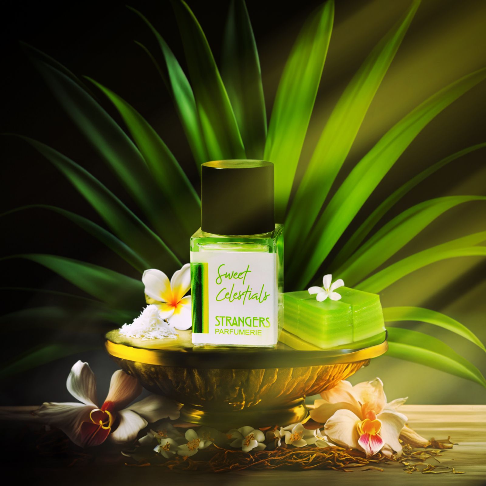 عطر ادکلن سوییت سلستیالز استرنجرز پرفیومری - Sweet Celestials Strangers Parfumerie - بررسی، قیمت و خرید
