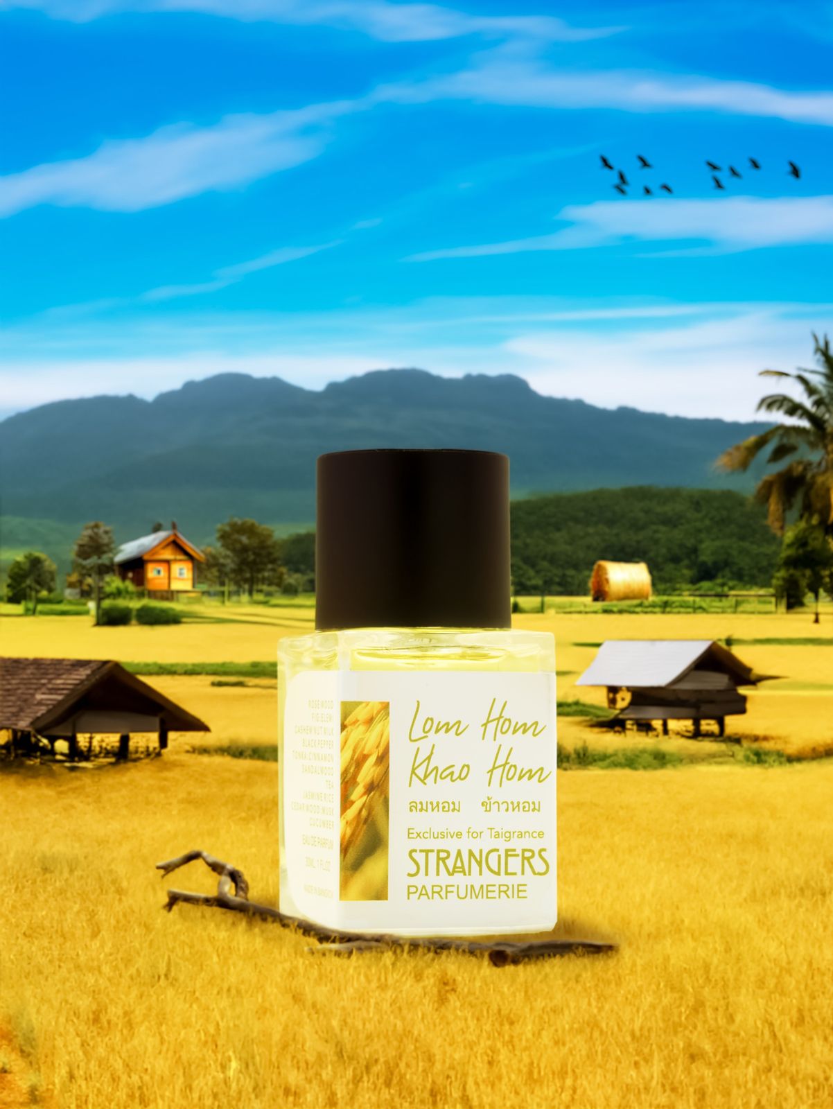 عطر ادکلن لوم هوم کاو هوم استرنجرز پرفیومری - Lom Hom Khao Hom ลมหอม ข้าวหอม Strangers Parfumerie - بررسی، قیمت و خرید