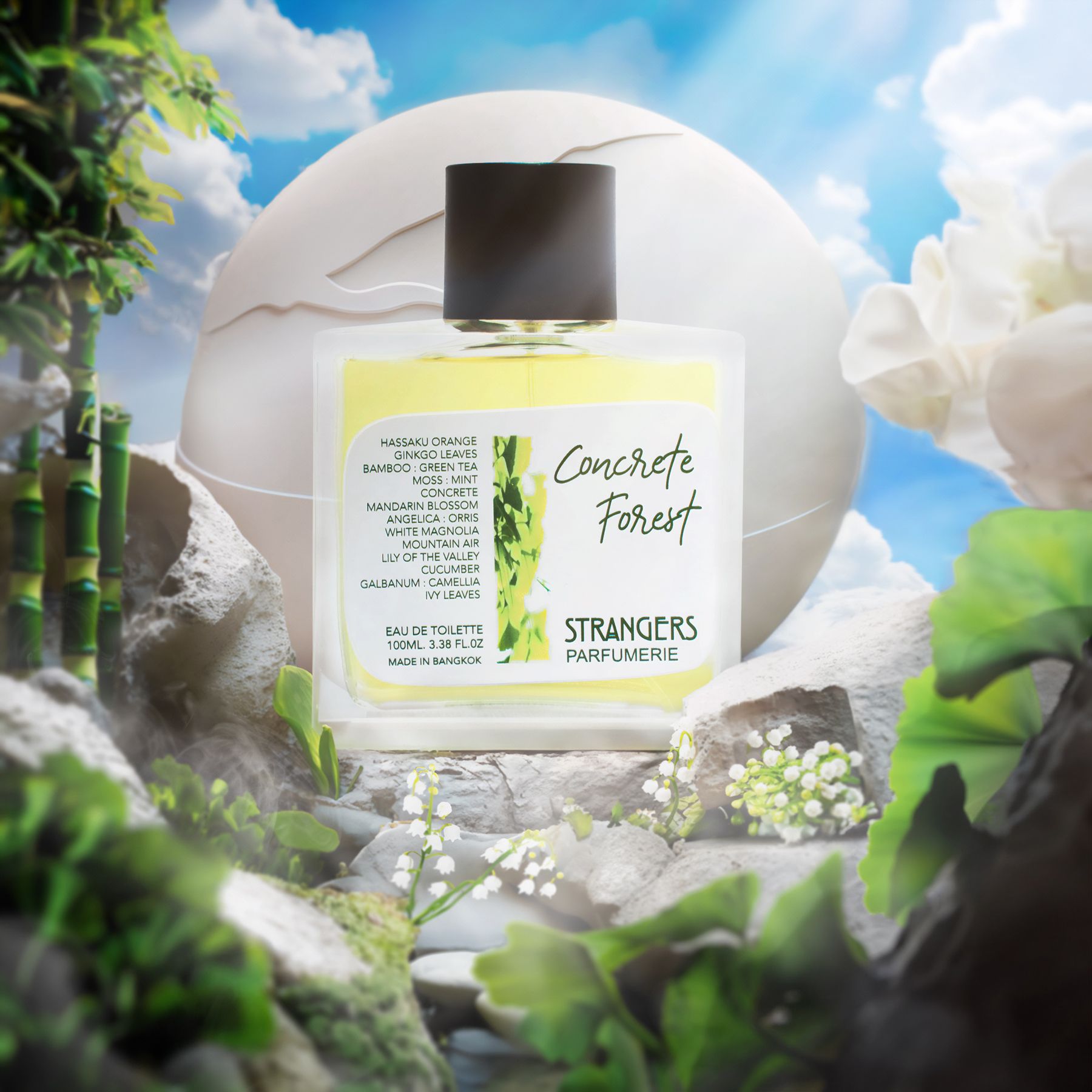 عطر ادکلن کانکریت فورست استرنجرز پرفیومری - Concrete Forest Strangers Parfumerie - بررسی، قیمت و خرید