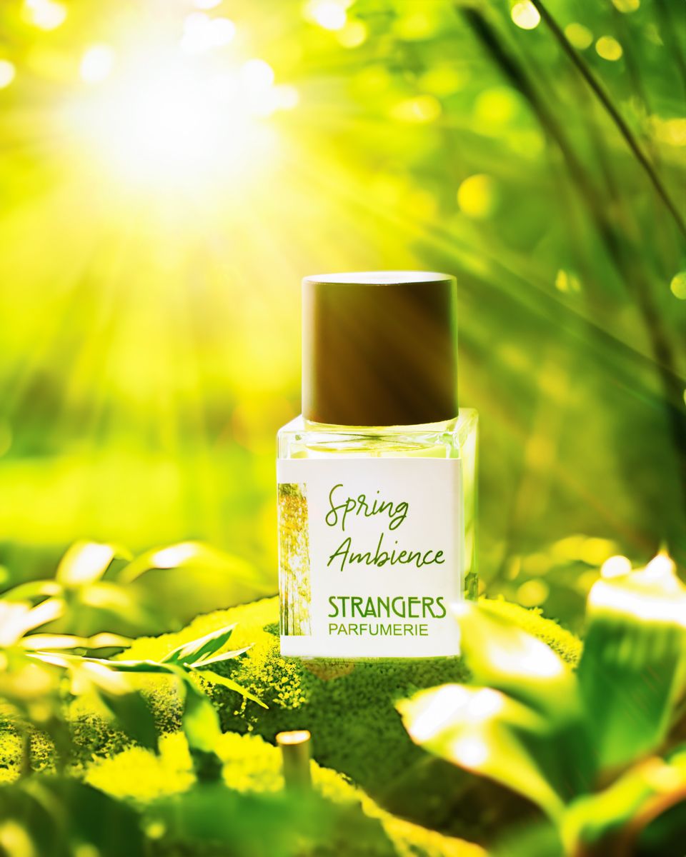 عطر ادکلن اسپرینگ اَمبرینس استرنجرز پرفیومری - Spring Ambience Strangers Parfumerie - بررسی، قیمت و خرید