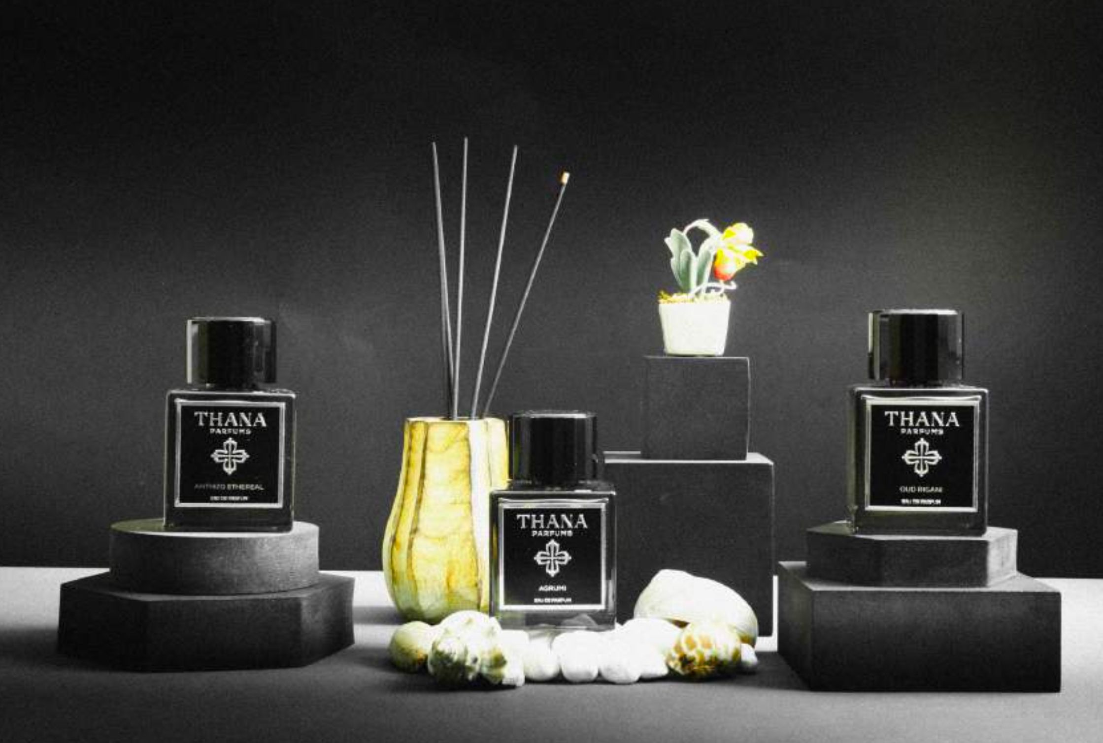 عطر ادکلن اگرومی ثانا - Agrumi Thana - بررسی، قیمت و خرید