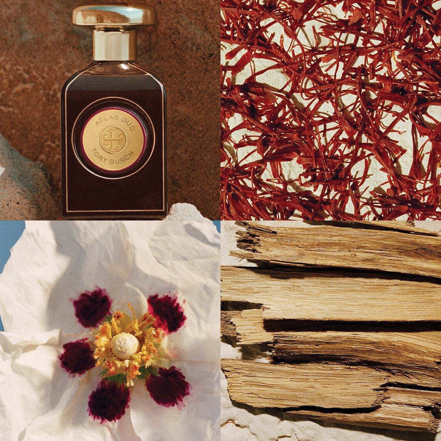 عطر ادکلن اطلس عود توری برچ - Atlas Oud Tory Burch - بررسی، قیمت و خرید