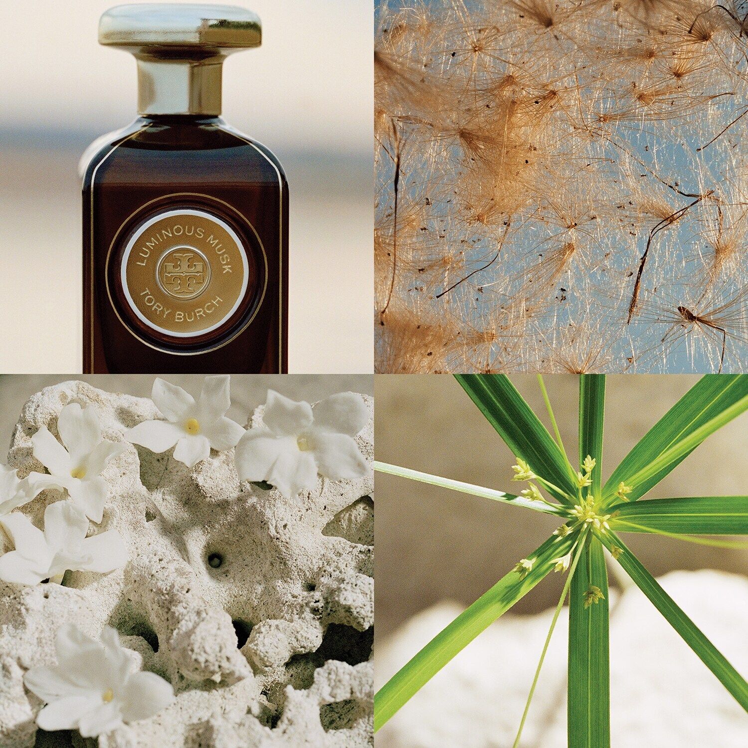 عطر ادکلن لومینوس ماسک توری برچ - Luminous Musk Tory Burch - بررسی، قیمت و خرید