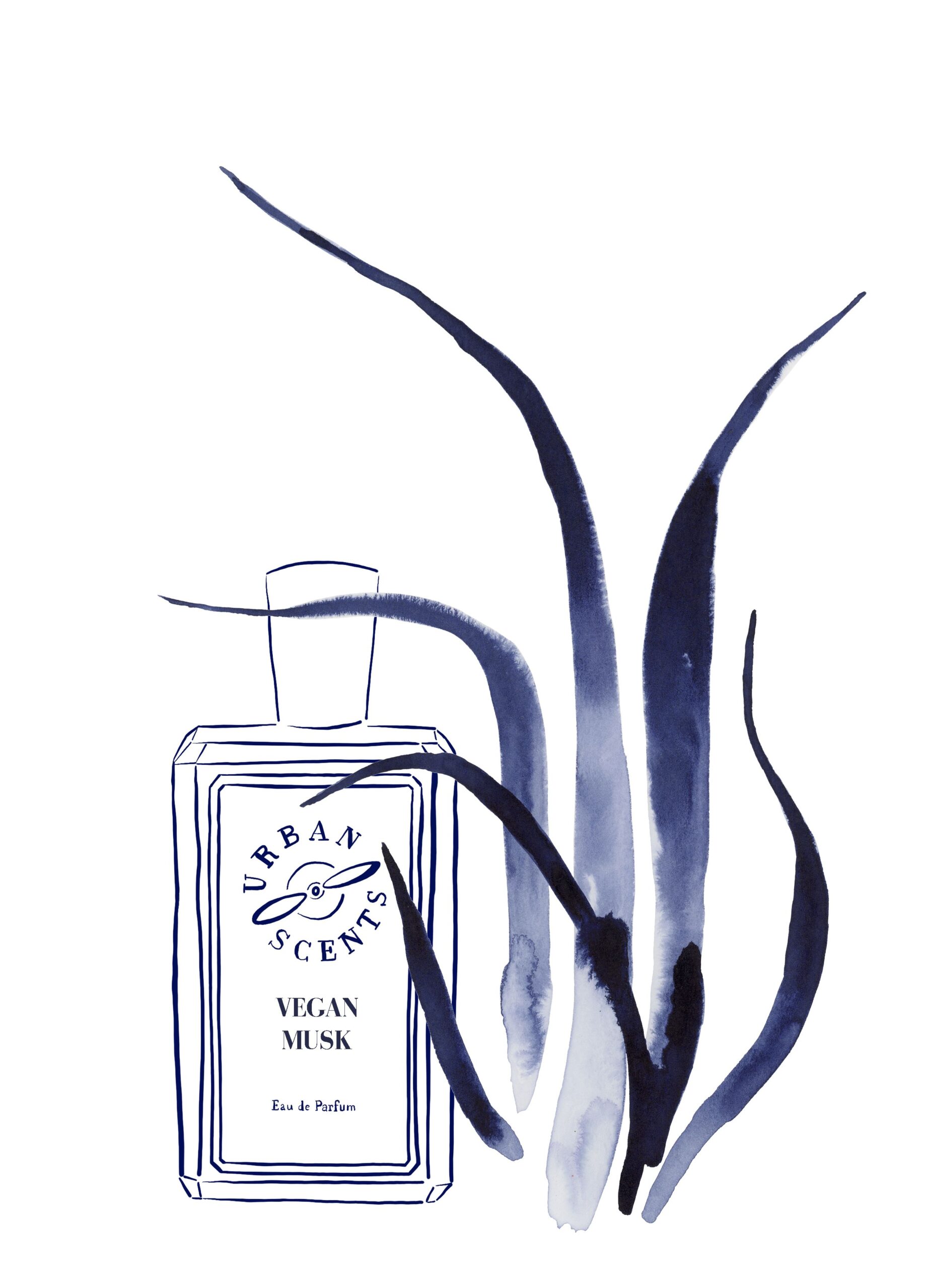 عطر ادکلن ویگن ماسک اربان سنتس - Vegan Musk Urban Scents - بررسی، قیمت و خرید