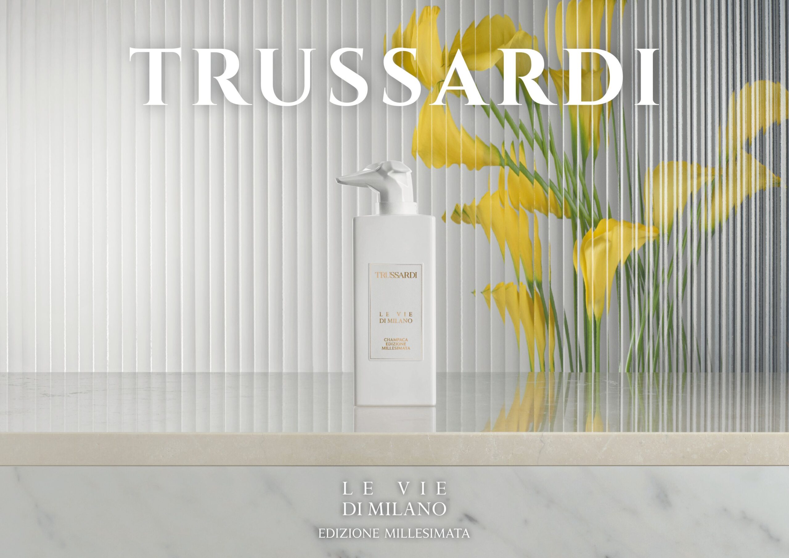 عطر ادکلن چامپاکا ادیزیونه میلیسیماتا تروساردی - Champaca Edizione Millesimata Trussardi - بررسی، قیمت و خرید