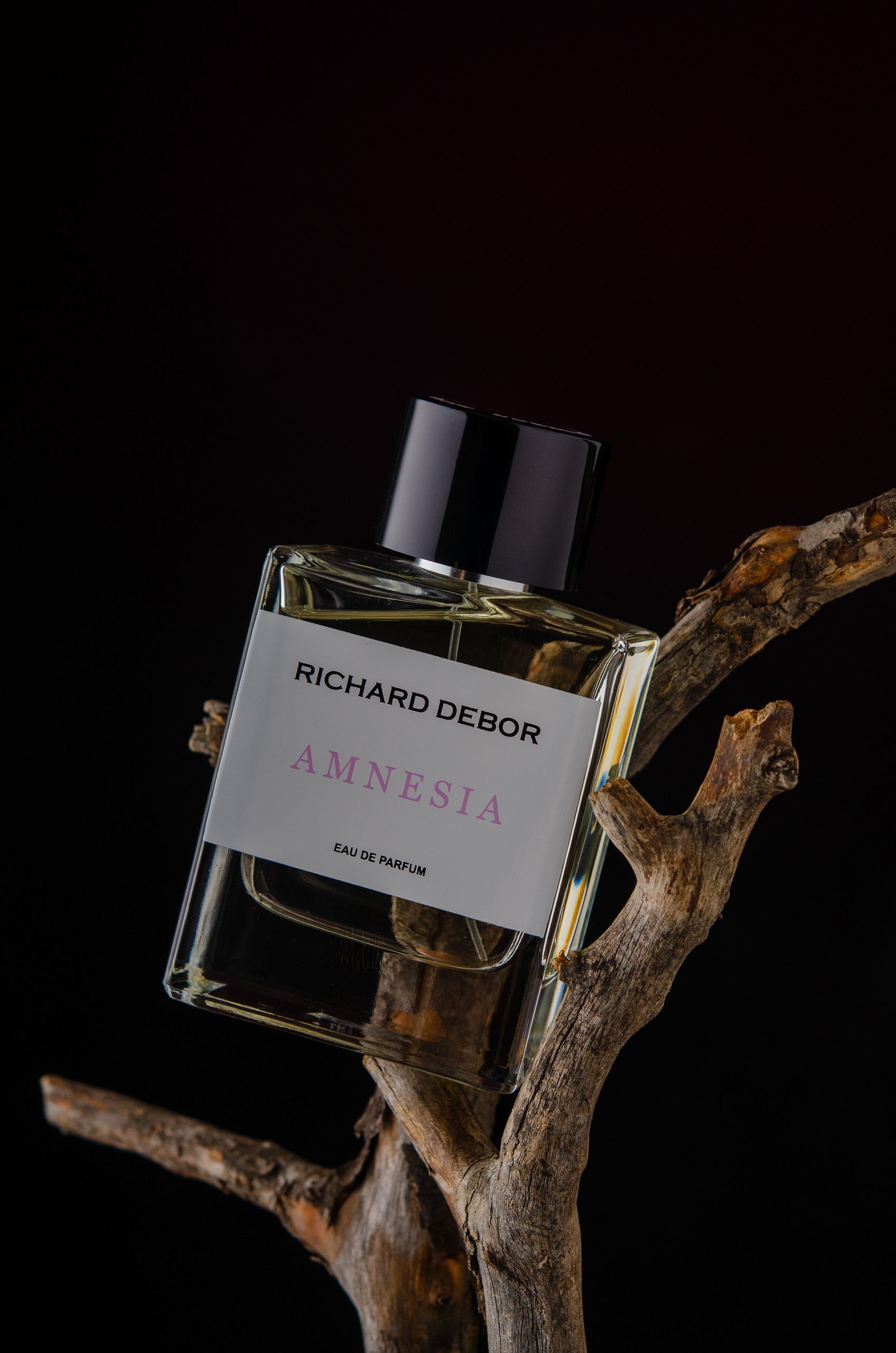 عطر ادکلن آمنزیا ریچارد دبور - Amnesia Richard Debor - بررسی، قیمت و خرید