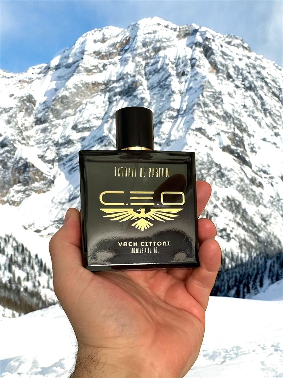 عطر ادکلن سی ای او واچ سیتونی - C.E.O Vach Cittoni - بررسی، قیمت و خرید