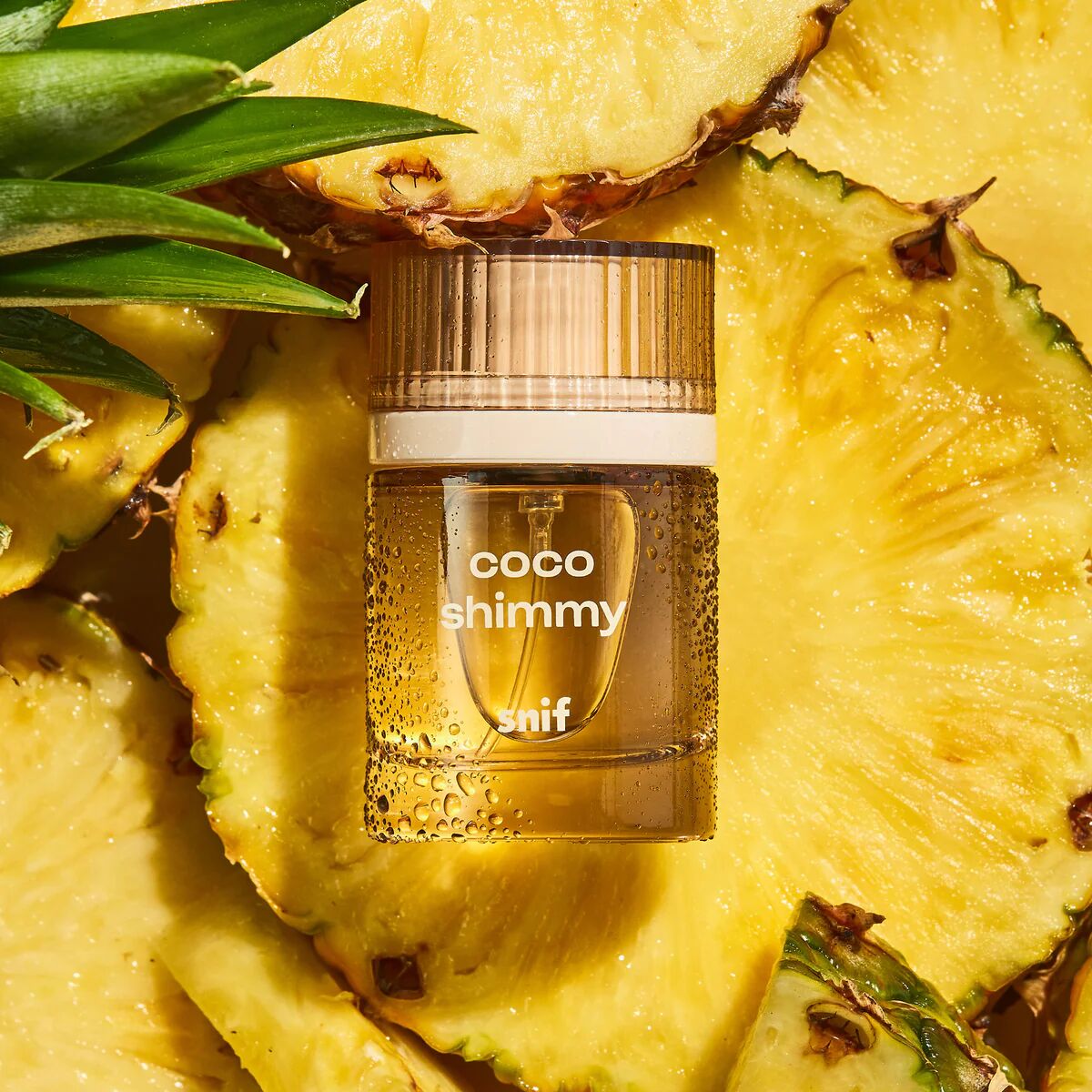 عطر ادکلن کوکو شیمی سنف - Coco Shimmy Snif - بررسی، قیمت و خرید