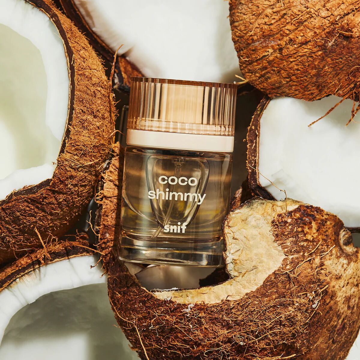 عطر ادکلن کوکو شیمی سنف - Coco Shimmy Snif - بررسی، قیمت و خرید