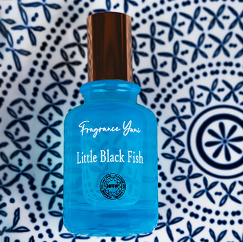 عطر ادکلن ماهی سیاه کوچولو یعنی - Little Black Fish YANI - بررسی، قیمت و خرید